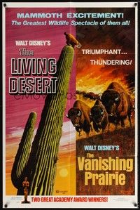 4r571 LIVING DESERT/VANISHING PRAIRIE 1sh '71 art from Walt Disney wildlife double-bill!