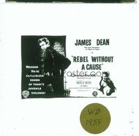 4t231 REBEL WITHOUT A CAUSE Aust glass slide '55 James Dean stars in Nicholas Ray classic!