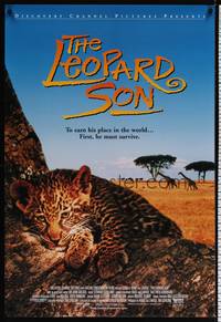 4w416 LEOPARD SON 1sh '96 Africa, Discovery Channel, great image of wildlife!