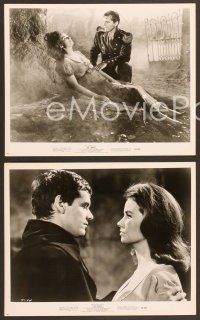 4x440 TERROR 5 8x10 stills '63 Roger Corman, young Jack Nicholson pictured in all!