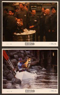 4x041 BINGO 8 8x10 mini LCs '91 dog adventure comedy, Cindy Williams!