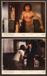4x113 FLY 8 8x10 mini LCs '86 David Cronenberg sci-fi remake, Jeff Goldblum, Geena Davis!