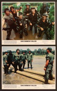 4x252 UNCOMMON VALOR 8 8x10 mini LCs '83 Gene Hackman, Fred Ward, Robert Stack, Vietnam War!