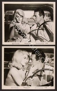 5c917 KITTEN WITH A WHIP 2 8x10 stills '64 close up John Forsythe & sexy Ann-Margret in car!