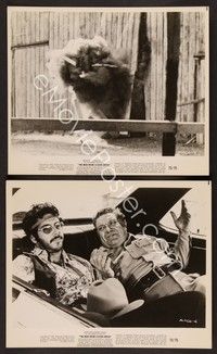 5c929 MAN FROM CLOVER GROVE 2 8x10 stills '73 it's supersonicomedy out of remote control!