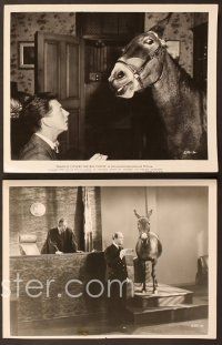 5c600 FRANCIS COVERS THE BIG TOWN 6 8x10 stills '53 images of Donald O'Connor & the talking mule!
