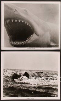5c692 JAWS 4 8x10 stills '75 best c/u of Spielberg's classic man-eating shark, Richard Dreyfuss