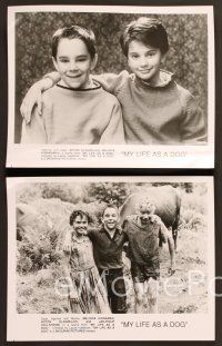 5c657 MY LIFE AS A DOG 5 8x10 stills '85 Lasse Hallstrom's Mitt liv som hund, cute images of kids!