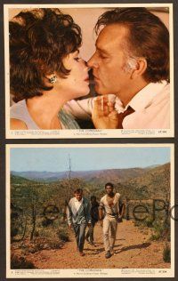 5c026 COMEDIANS 10 color 8x10 stills '67 Richard Burton, Elizabeth Taylor, Alec Guinness, Ustinov