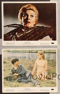 5c223 DEVIL'S OWN 5 color 8x10 stills '67 Joan Fontaine, Hammer horror, The Witches!
