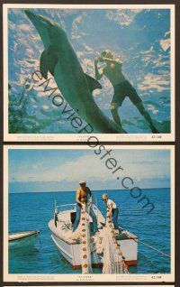 5c312 FLIPPER 3 color 8x10 stills '63 great images of Luke Halpin & dolphin underwater!