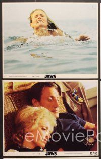 5c225 JAWS 5 color 8x10 stills '75 Spielberg classic man-eating shark, Roy Scheider, Lorraine Gary