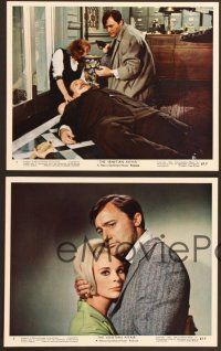 5c204 VENETIAN AFFAIR 8 color 8x10 stills '67 spies Robert Vaughn & sexy Elke Sommer in Italy!
