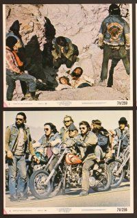 5c206 WEREWOLVES ON WHEELS 8 8x10 mini LCs '71 great images of bikers on motorcycles!