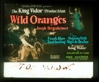 5d187 WILD ORANGES glass slide '24 King Vidor's story of a girl & her grandfather held prisoner!