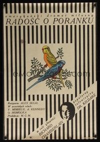 5e036 JOY IN THE MORNING Polish 23x33 '65 Richard Chamberlain, cool artwork of birds!