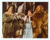 5g276 RAY BOLGER signed color 8x10 REPRO still '80s as the Scarecrow w/his 3 Wizard of Oz co-stars!