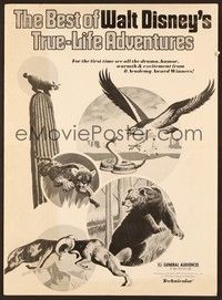 5j198 BEST OF WALT DISNEY'S TRUE-LIFE ADVENTURES pressbook '75 powerful, primitive, animal art!