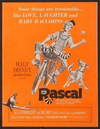 5j776 RASCAL pressbook '69 Walt Disney, great art of Bill Mumy on bike with raccoon & dog!