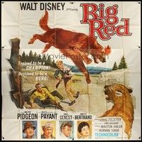 5p121 BIG RED 6sh '62 Disney, Walter Pigeon, artwork of Irish Setter dog jumping in the air!