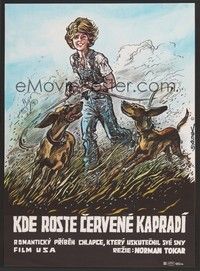 5s401 WHERE THE RED FERN GROWS Czech 11x16 '74 great different art of boy & dogs by Saudek!