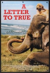 5t374 LETTER TO TRUE arthouse special 24x36 '04 Bruce Weber, cool image of dog sitting on elephant!