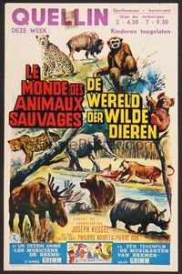 5x591 LE MONDE DES ANIMAUX SAUVAGES Belgian '60s cool artwork of wild animals!