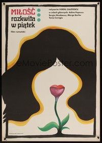 5x183 LOVE BEGINS ON FRIDAY Polish 23x33 '72 Virgil Calotescu, Lipinska artwork of woman!