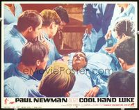 5z217 COOL HAND LUKE LC #5 '67 wounded Paul Newman on his bunk with all the men gathered around!