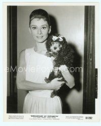 6a002 BREAKFAST AT TIFFANY'S 8x10 still '61 close up of Audrey Hepburn holding her poodle!