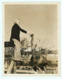 6a366 MARY CARLISLE candid 8x10 still '30s wacky image of the actress on fence feeding ostrich!