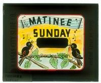 6e130 MATINEE SUNDAY glass slide '20s cool art of birds chirping on tree branch!