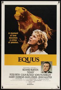 6h152 EQUUS style B int'l 1sh '77 Richard Burton, Peter Firth, a crime of passion!