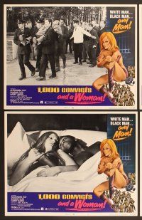 6j022 1000 CONVICTS & A WOMAN 8 LCs '71 sexy nympho Alexandra Hay & convicts!