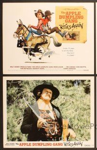 6j008 APPLE DUMPLING GANG RIDES AGAIN 9 LCs '79 wacky images of Don Knotts & Tim Conway!