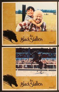 6j539 BLACK STALLION 7 LCs '79 Kelly Reno, Teri Garr, Mickey Rooney, great horse images!