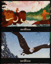 6j002 BROTHER BEAR 12 LCs '03 Disney Pacific Northwest animal cartoon!