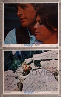 6j723 BUTCH CASSIDY & THE SUNDANCE KID 4 LCs '69 Paul Newman, Robert Redford, Katharine Ross!