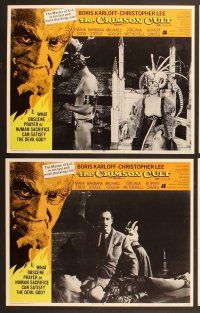 6j127 CRIMSON CULT 8 LCs '70 Boris Karloff, Christopher Lee, what can satisfy the devil-god?
