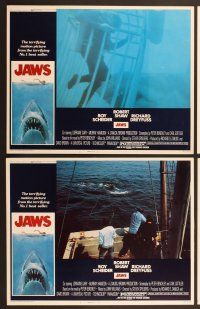 6j256 JAWS 8 LCs '75 Roy Scheider, Robert Shaw, Richard Dreyfuss, Steven Spielberg's shark classic!
