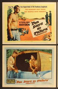 6j475 TEN DAYS TO TULARA 8 LCs '58 fugitive Sterling Hayden & Grace Raynor chased across S. America