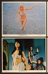 6j511 VENGEANCE OF SHE 8 LCs '68 Hammer fantasy, super sexy queen Olinka Berova!
