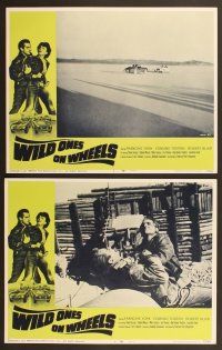 6j527 WILD ONES ON WHEELS 8 LCs R67 Francine York, Edmund Tontini, young rebels!