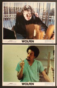 6j529 WOLFEN 8 LCs '81 Albert Finney, Gregory Hines, Diane Venora, werewolf horror!