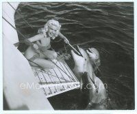 6k385 JAYNE MANSFIELD candid 8.25x10 still '56 wearing barely-there bikini & playing with dolphins!