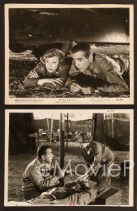 6v612 BATTLE CIRCUS 6 8x10 stills '53 Humphrey Bogart & June Allyson in the Korean War!