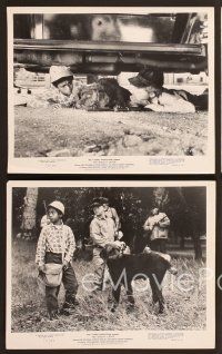 6v722 BISCUIT EATER 5 8x10 stills '72 George Spell, Johnny Whitaker & Walt Disney dogs!