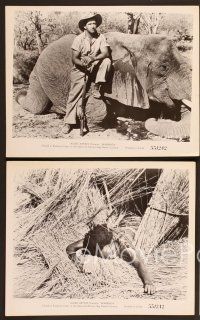 6v488 SKABENGA 8 8x10 stills '55 African jungle hunting documentary, violent images!