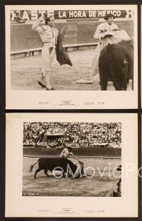 6v694 TORERO 6 8x10 stills '57 images of most famous matador Luis Procuna at work!