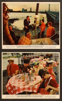 6v183 HAPPENING 6 color 8x10 stills '67 Anthony Quinn, 1st Faye Dunaway, George Maharis!